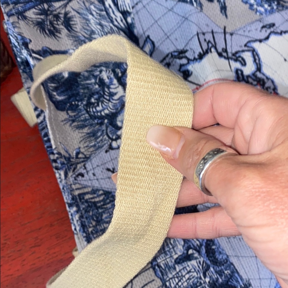 Dior Blue and Tan Tote Bag around the world - Picture 12 of 13